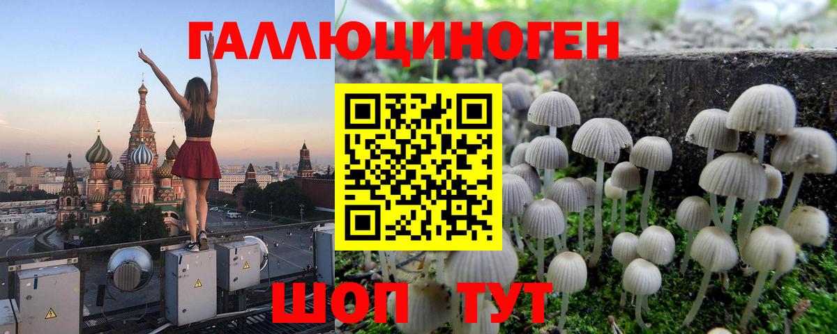 Псилоцибиновые грибы мицелий Рассказово