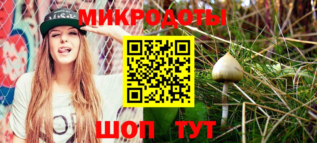Рассказово  Псилоцибиновые грибы мицелий  Вход с VPN  Псилоцибиновые грибы MAGIC MUSHROOMS 